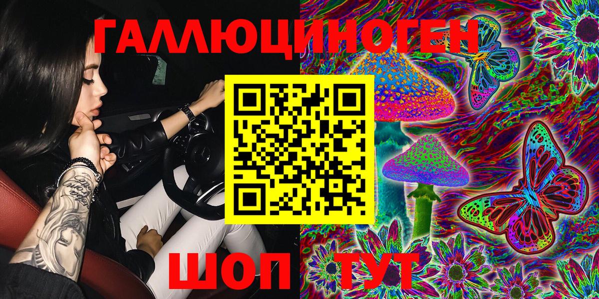Псилоцибиновые грибы Psilocybine cubensis Усть-Илимск